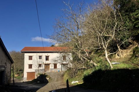 LIZUANDIATXABOLA