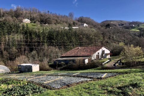 ETXEBERRIZABAL