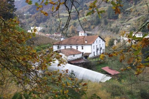 LOIXOLA