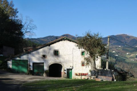 BASUETA