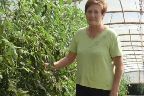 Lesarri Aurtengoa