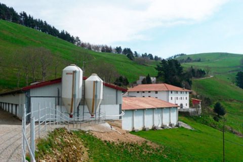 Madarizurieta «Mausitxa»